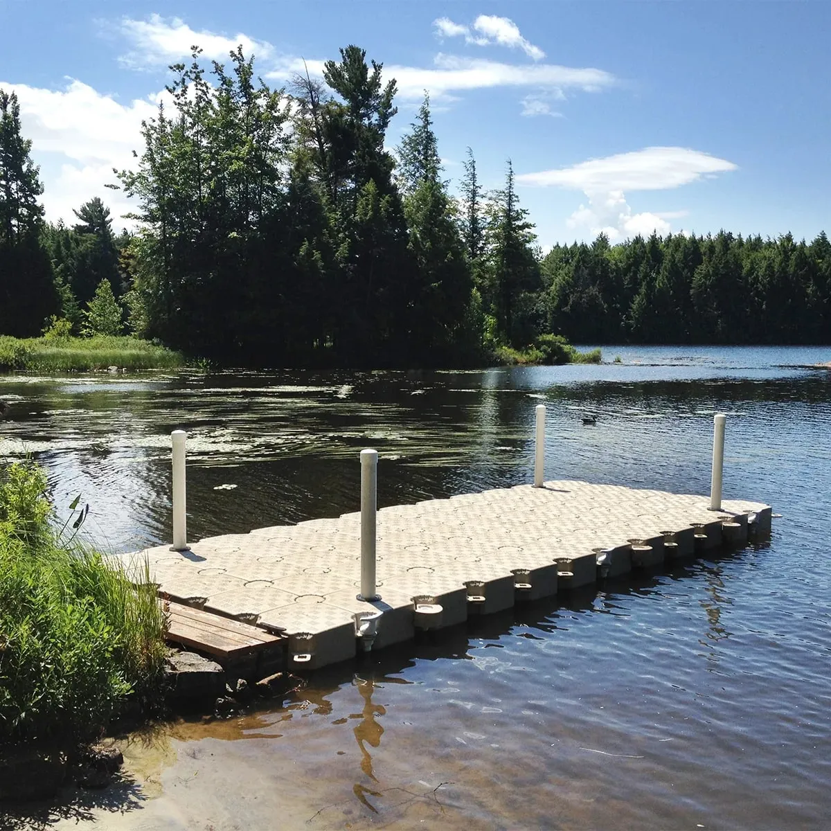 Muelle fijado con postes en un lago